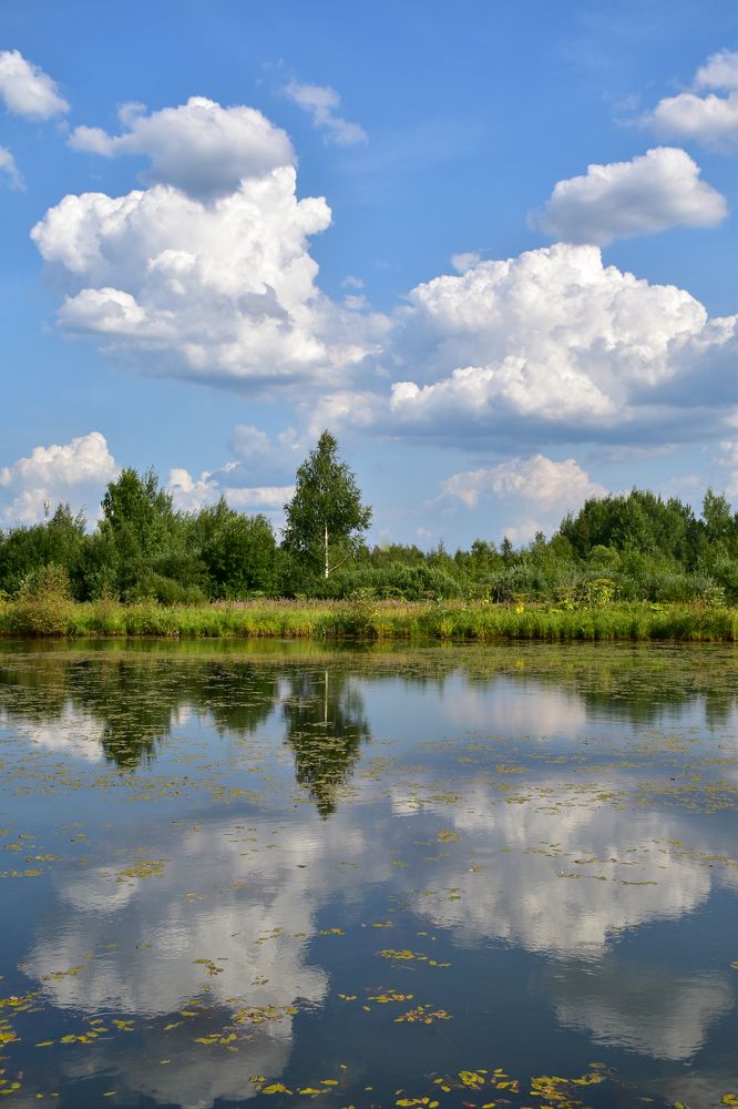 Photograph by Дмитрий Петров