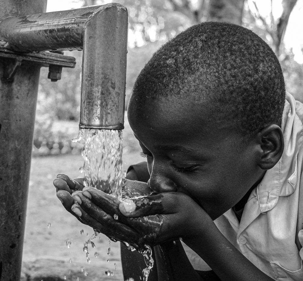 Photograph by Michael Albin