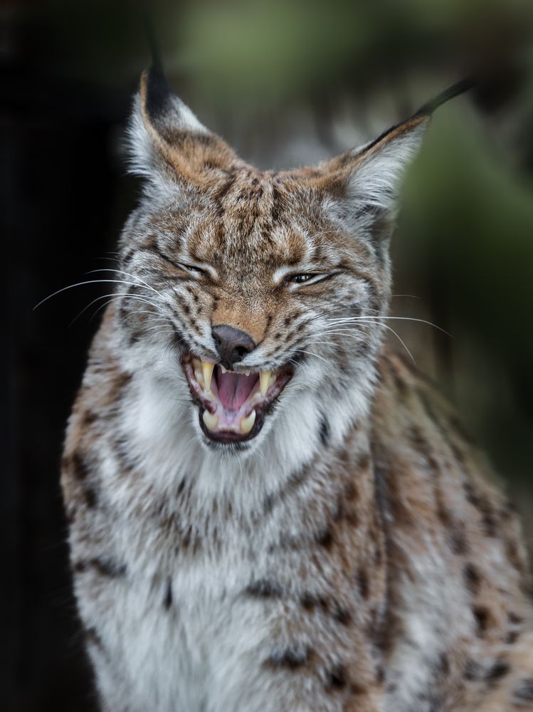 Photograph by Олег Богданов