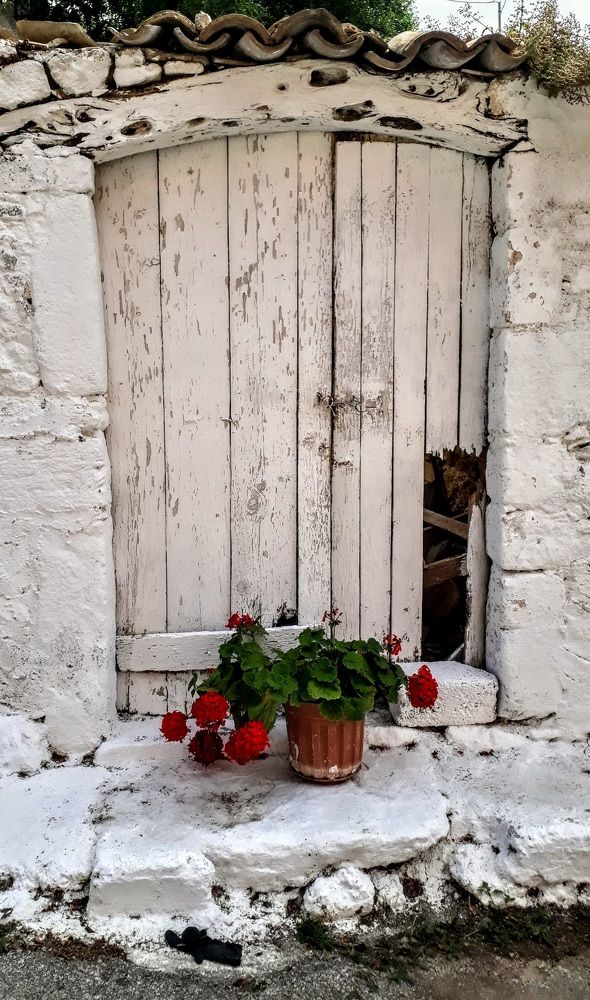 Photograph by Надежда Кудрявцева