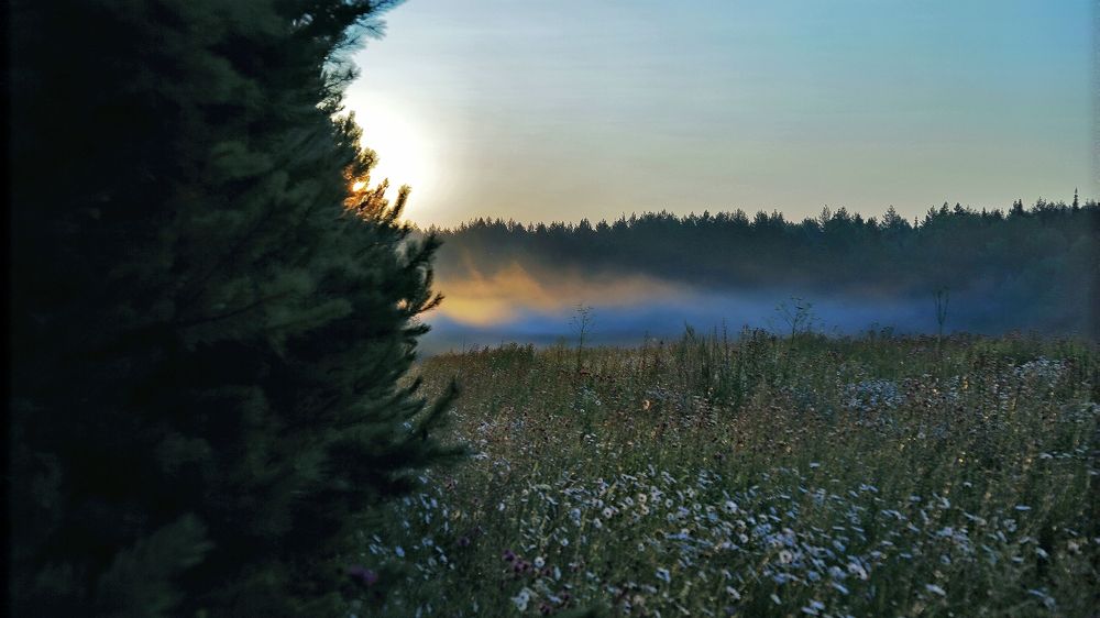 Photograph by Сергей Жданов