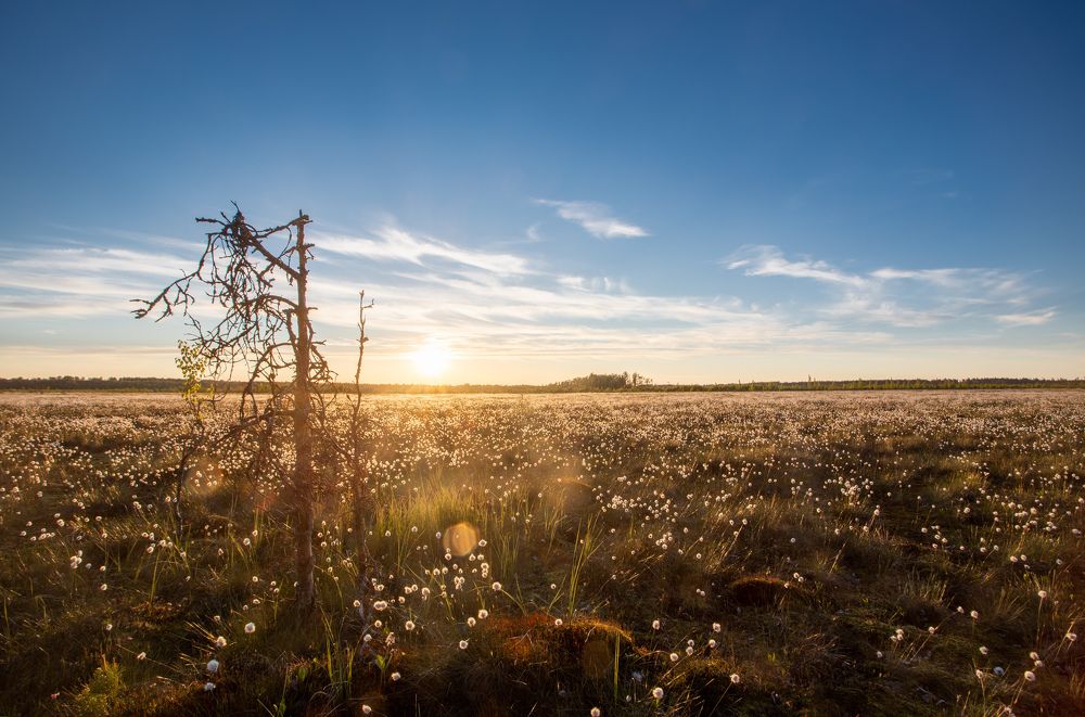 Photograph by Александр Кузнецов