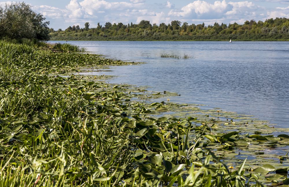 Photograph by Юлия Лис-а