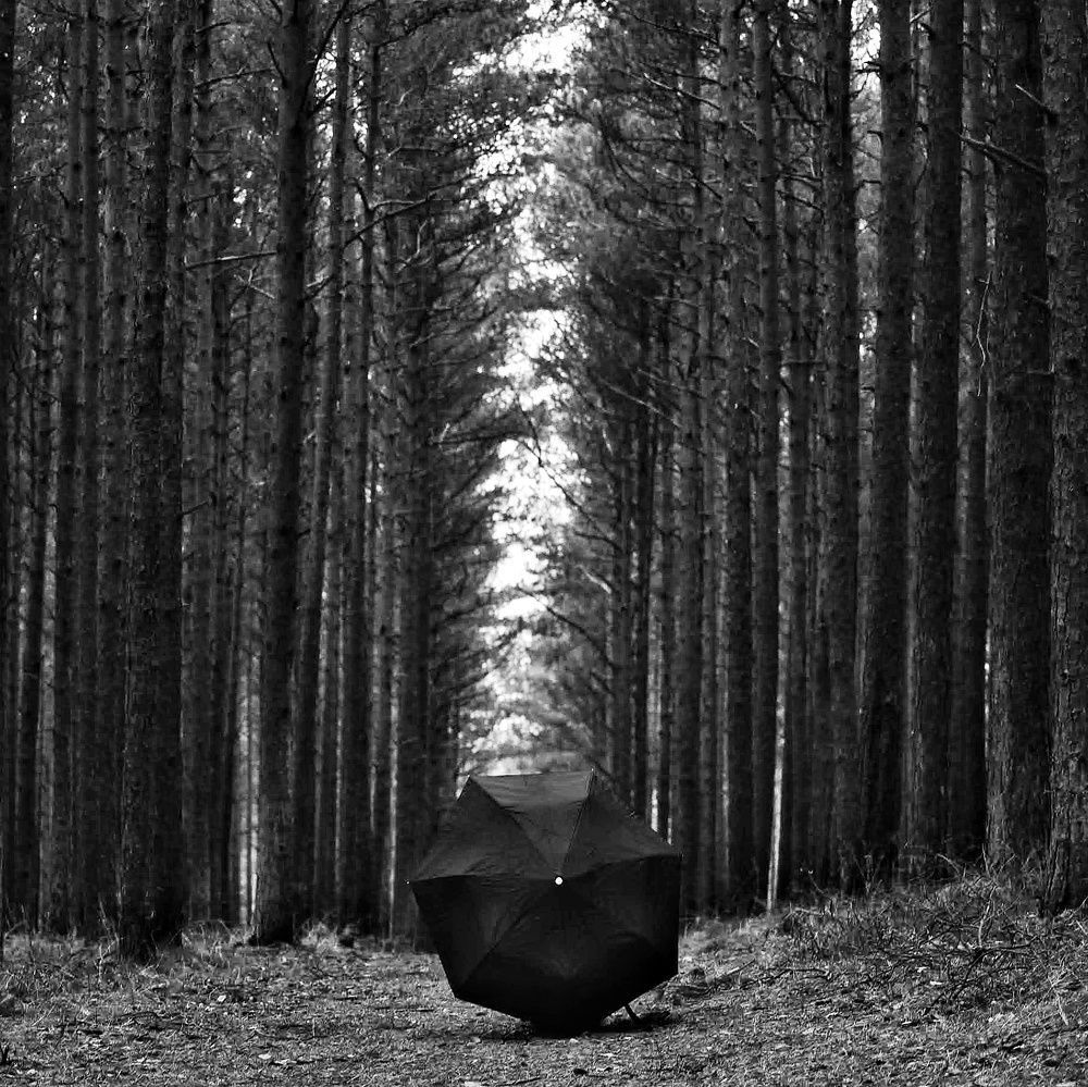Photograph by 