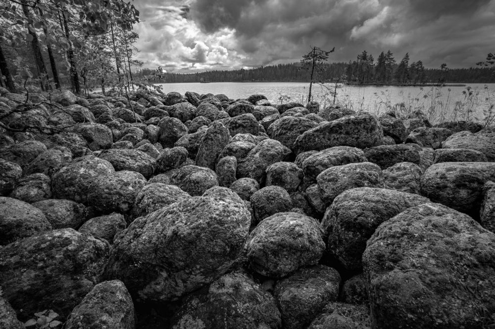 Photograph by Александр Кузнецов