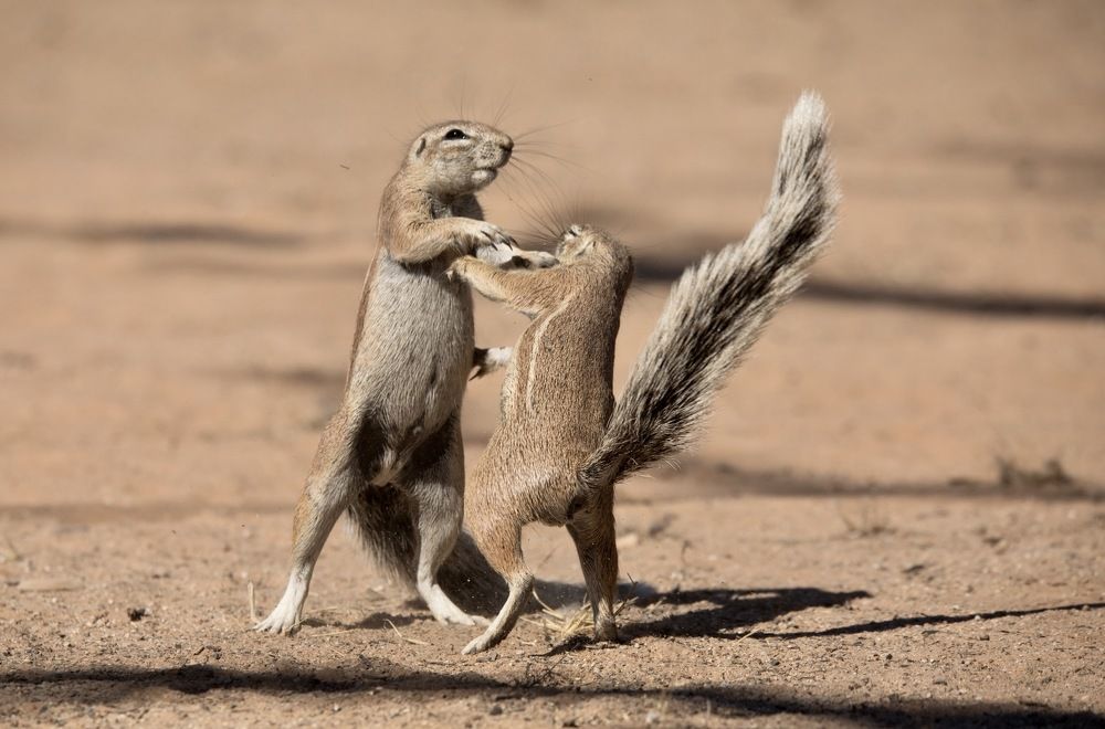 Photograph by Владимир Цветов