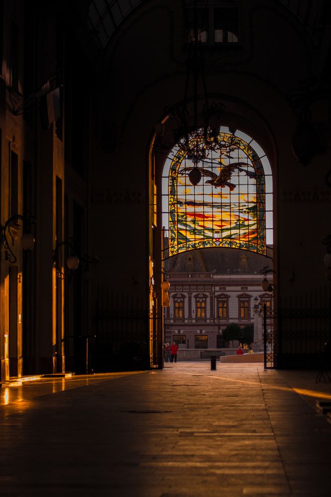 Photograph by Kecskés Beáta