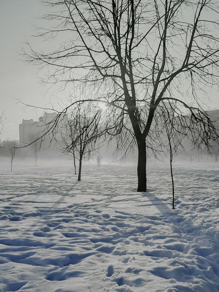 Photograph by Оксана Корепанова