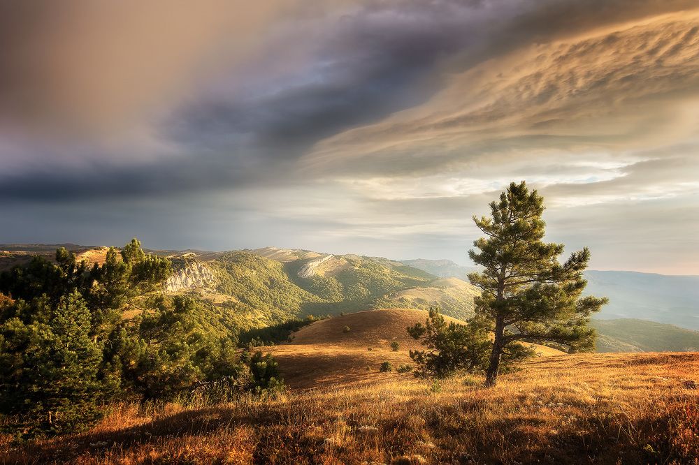 Photograph by Антон Кошетаров