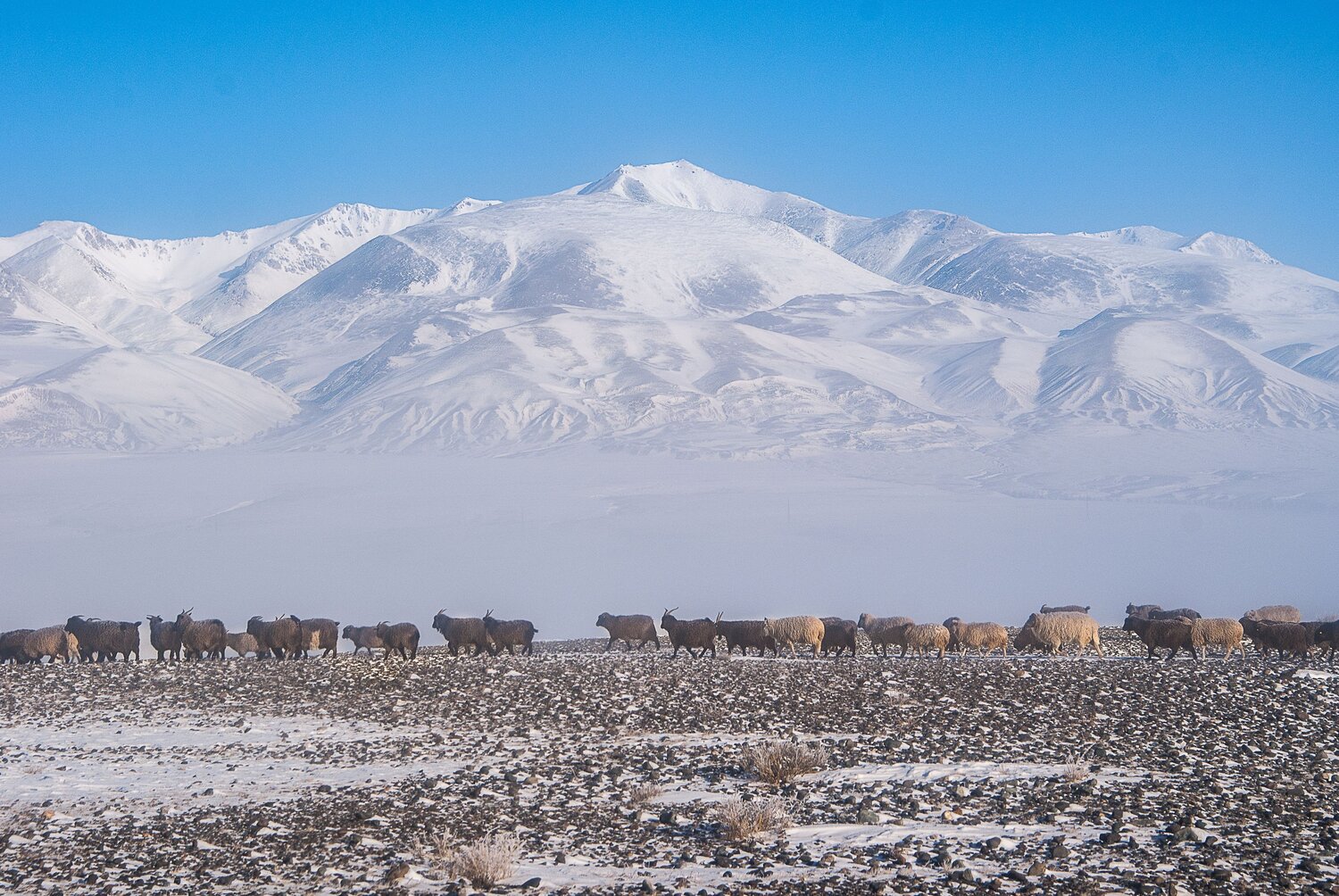 Photo #6831123