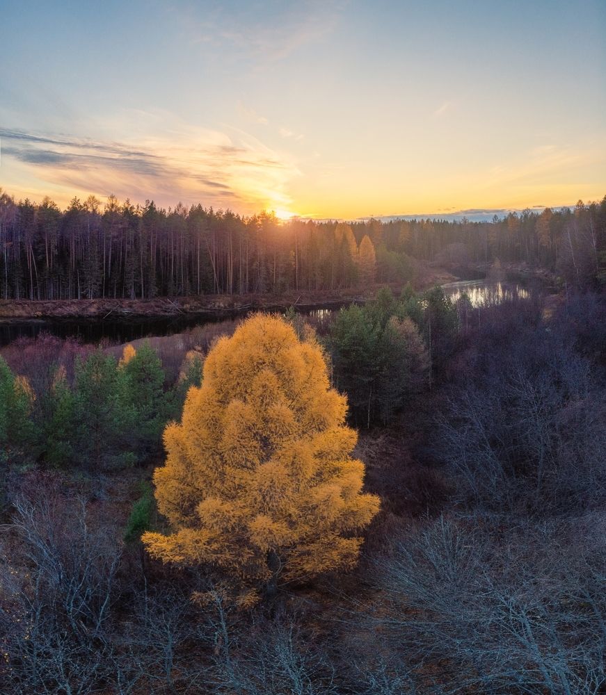 Photograph by Устюжанин Михаил