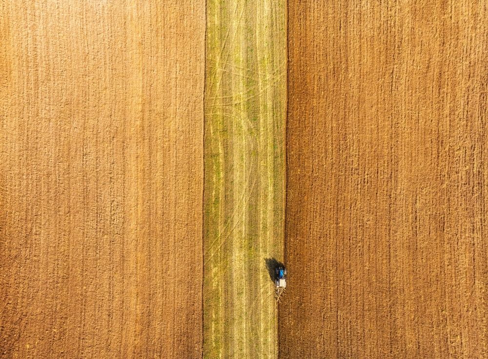 Photograph by Устюжанин Михаил