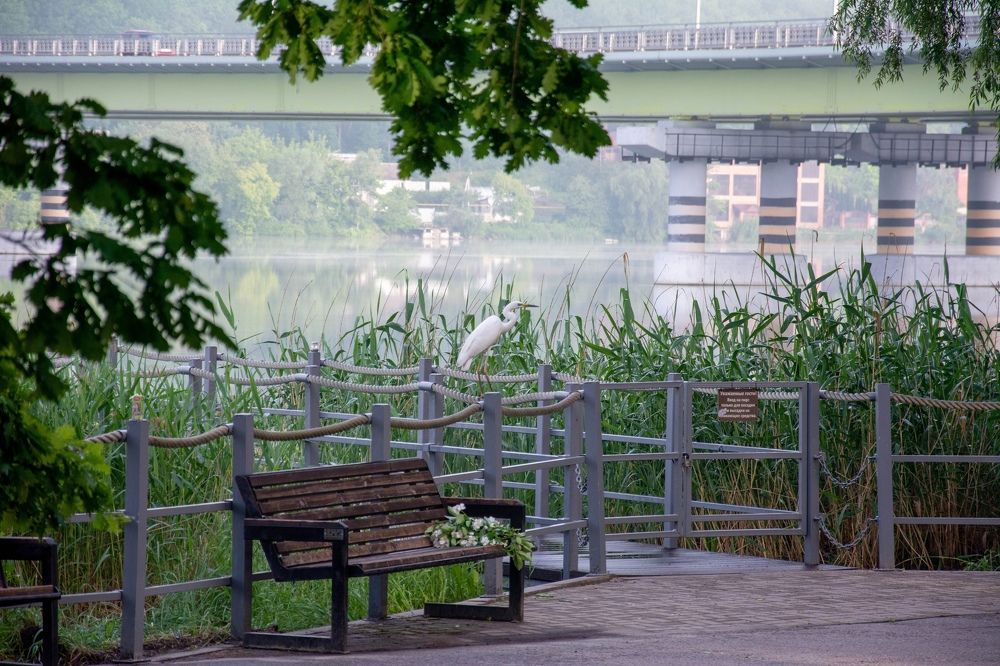 Photograph by Александр Лобынцев