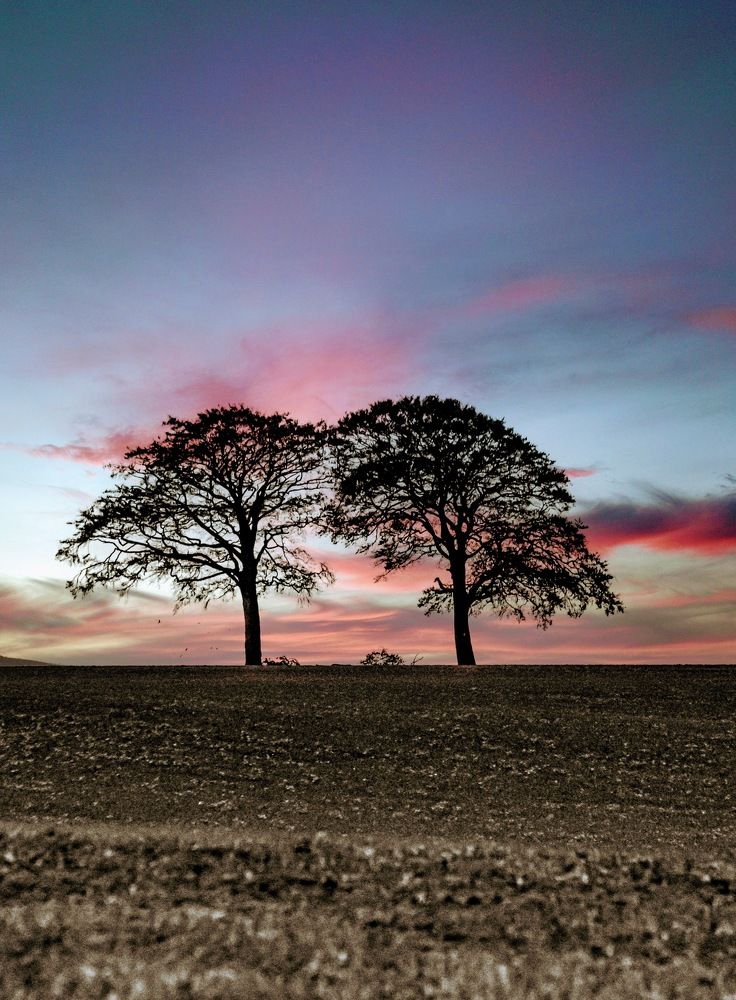 Photograph by Martin Gilbert