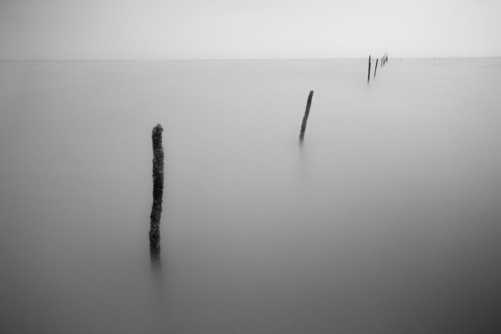 Photograph by Morteza Ghanbari