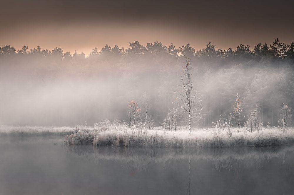 Утро на озере Орловском
