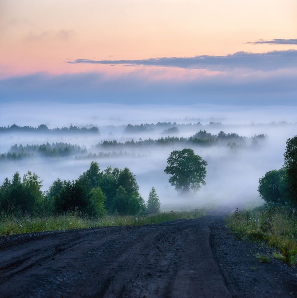 Photograph by Устюжанин Михаил