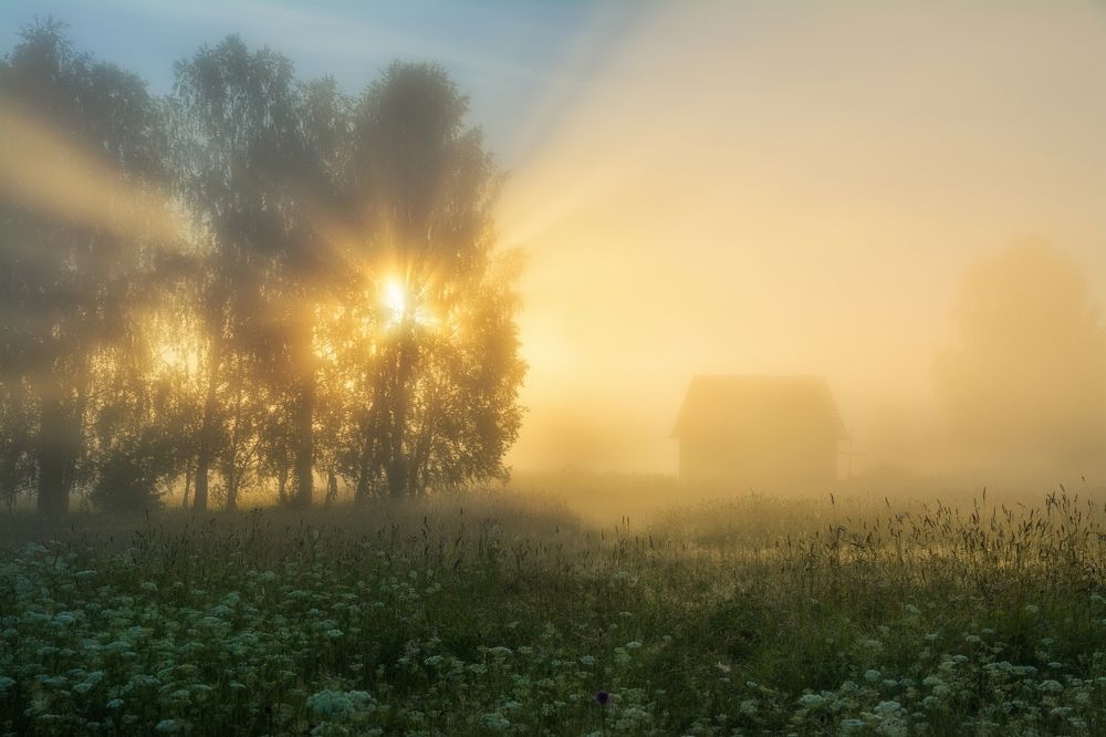 Photograph by Устюжанин Михаил