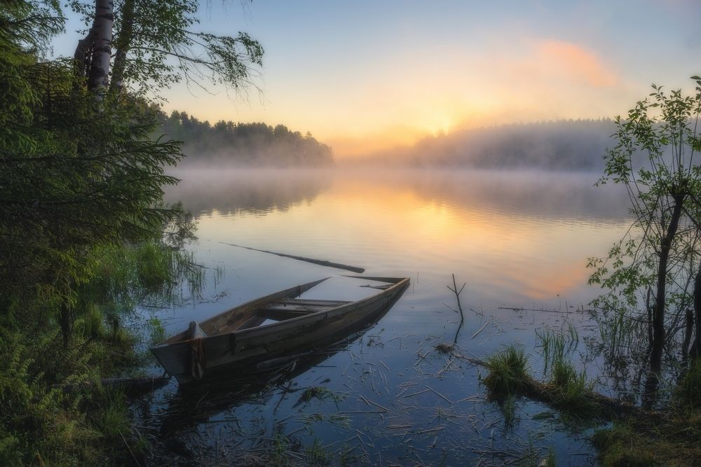 Photograph by Устюжанин Михаил