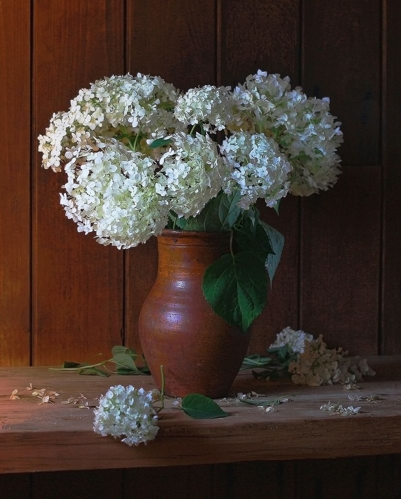 Photograph by Наталья Казанцева