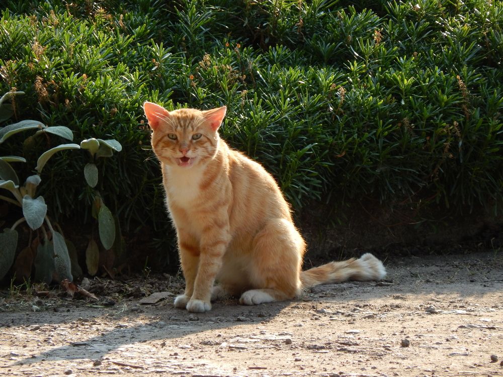 Photograph by Андрей Соколов