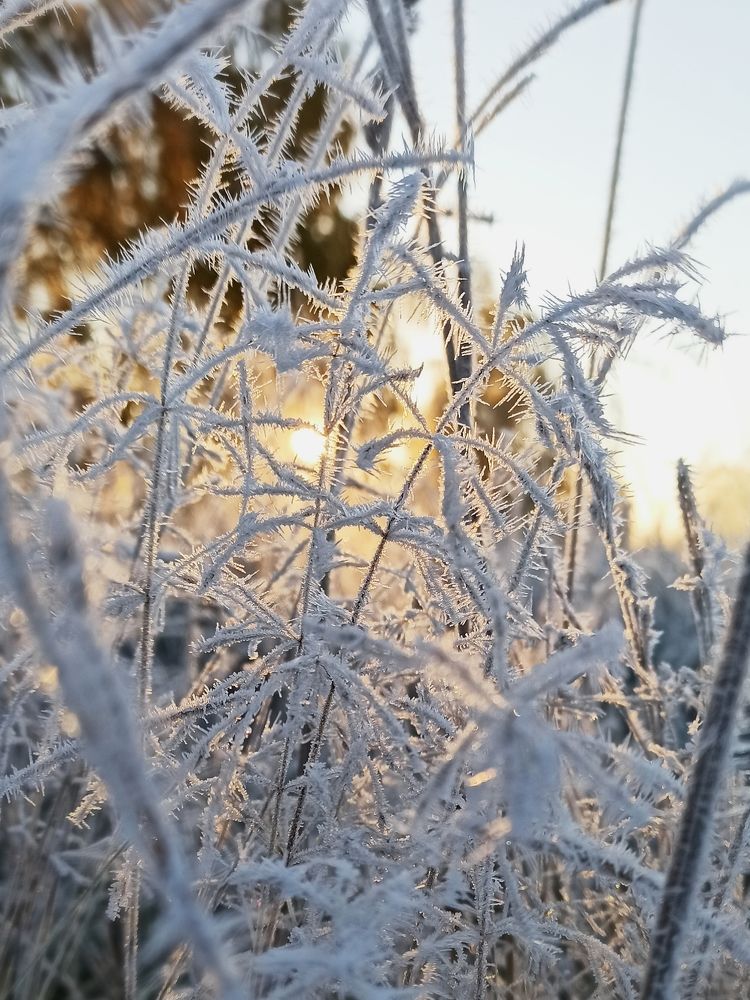 Photograph by Eлена Смирнова