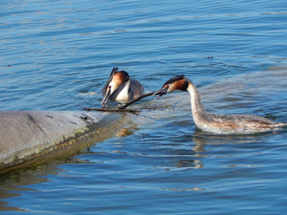 Photograph by Андрей Соколов