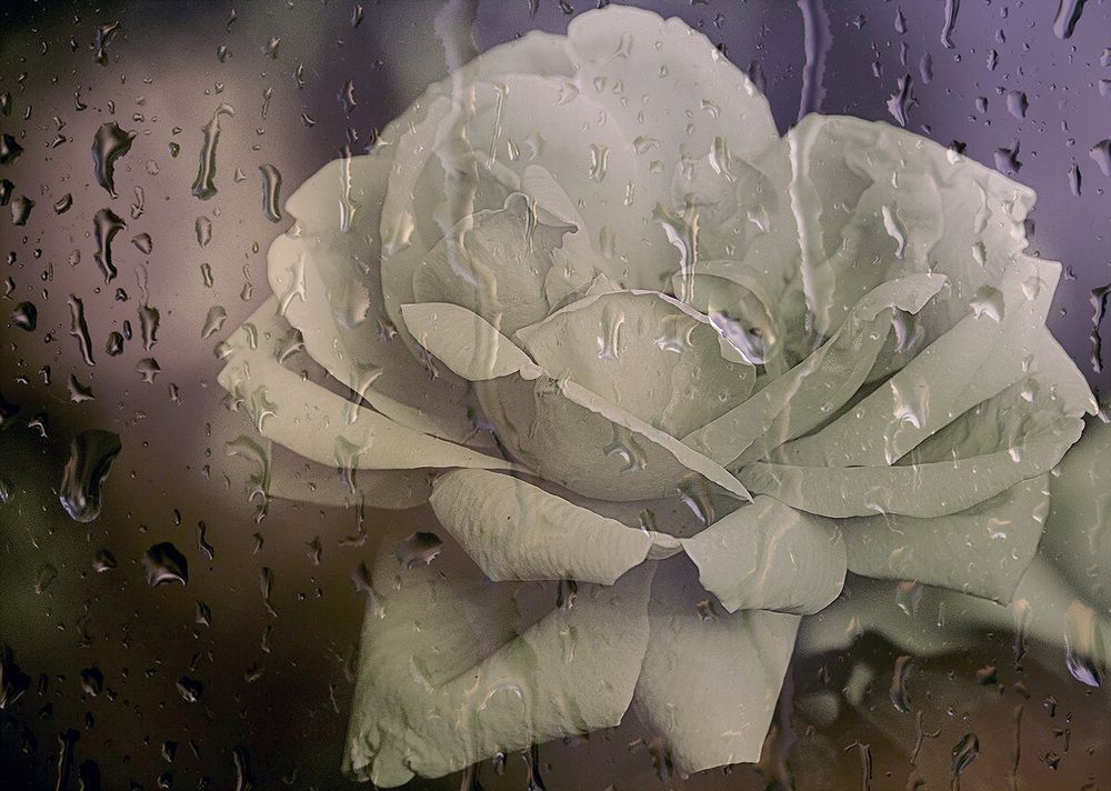 Photograph by Елена Маковецкая