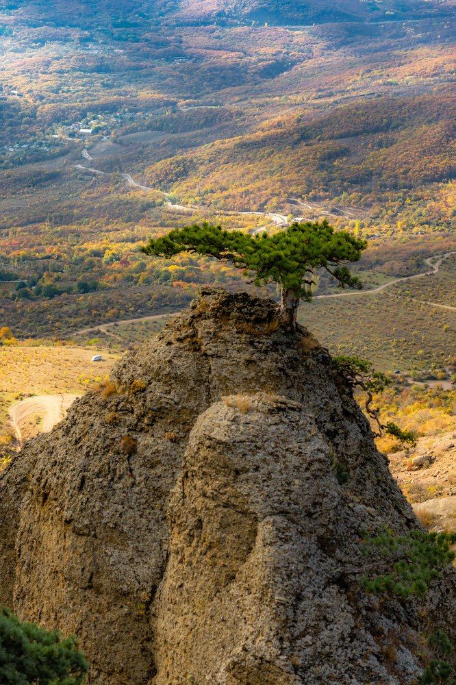 Фотография автора Ирина Назарова