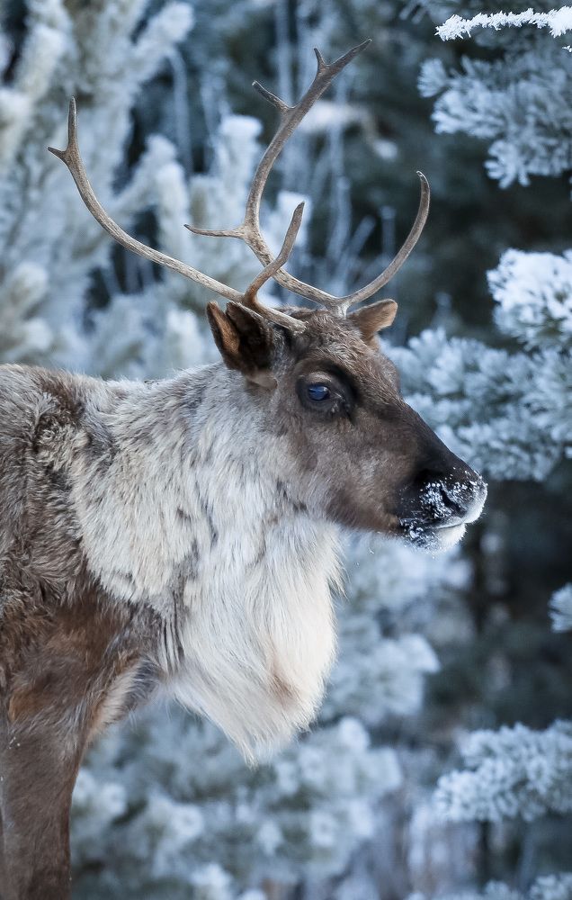 Photograph by Владимир Касьянов