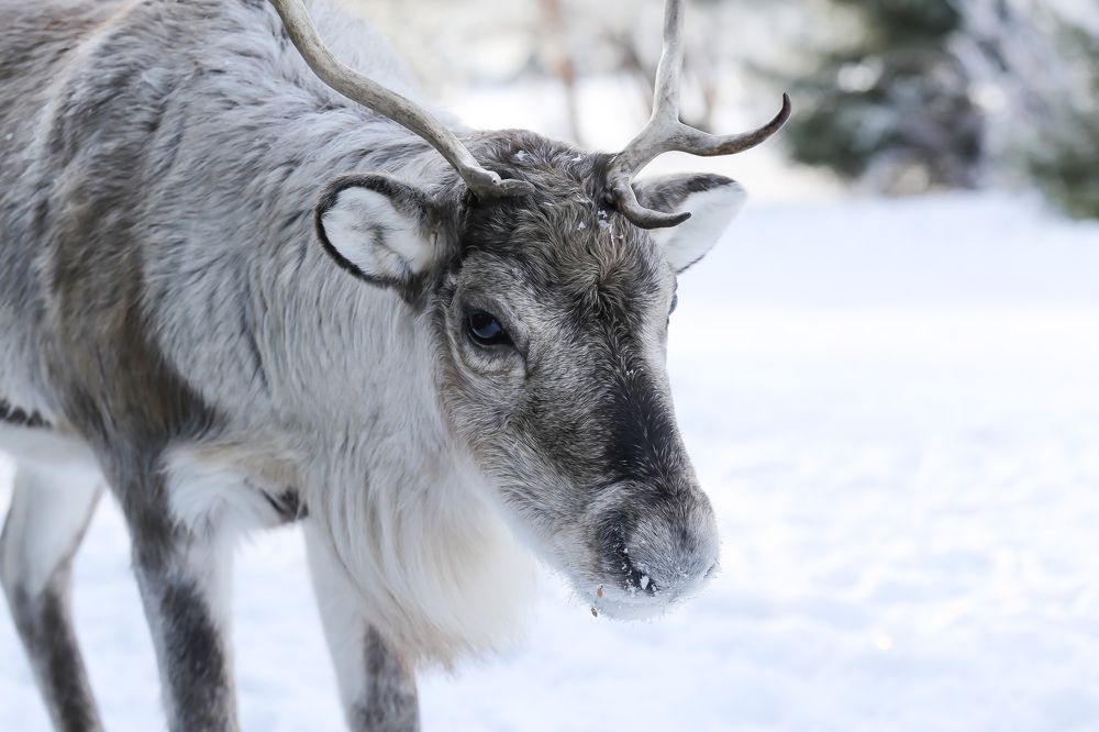 Photograph by Владимир Касьянов