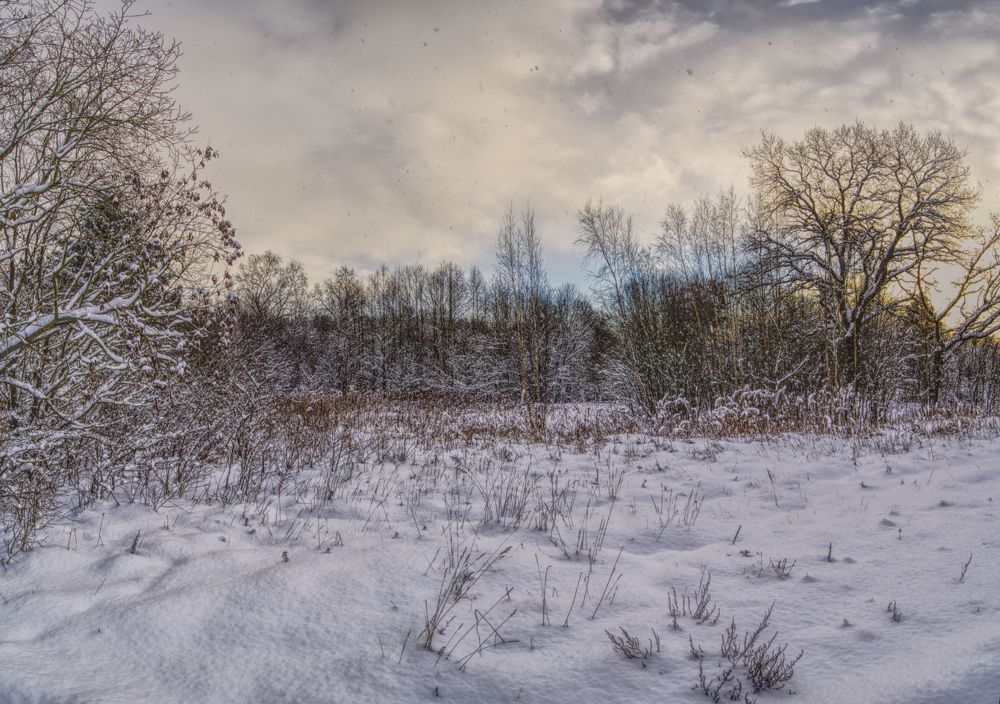 И она пришла.