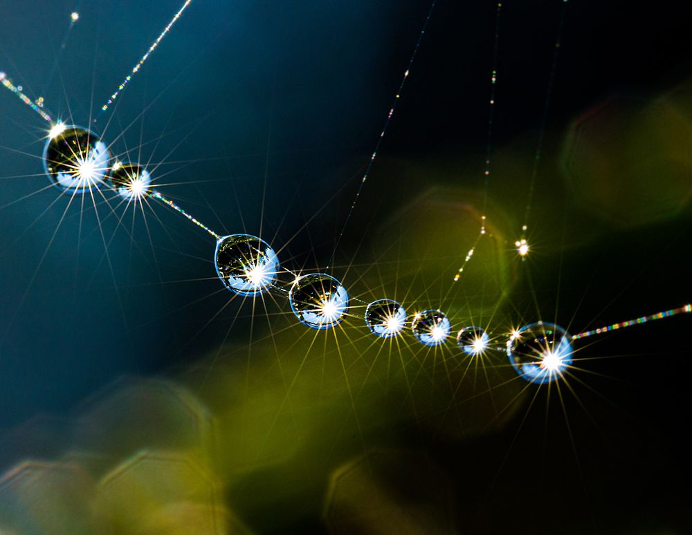 Photograph by Александр Есликов