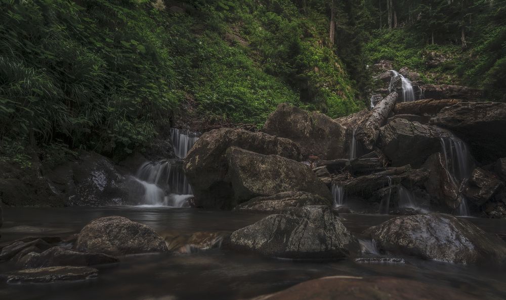 Photograph by Армашов-Тельник Григорий