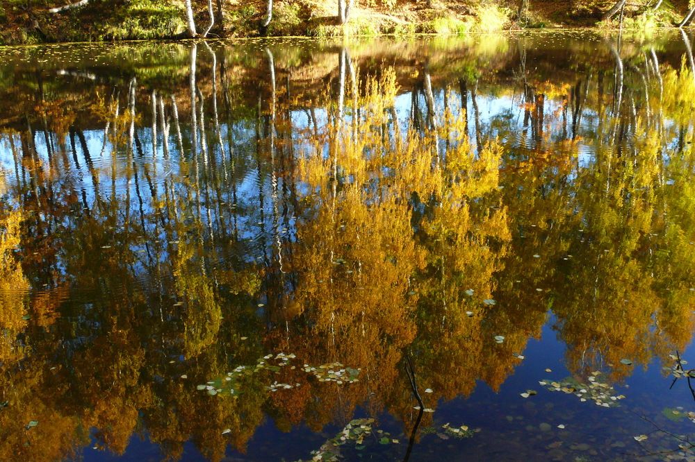 Photograph by Чанчиков Сергей