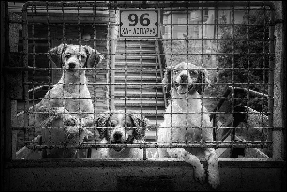 Photograph by Petya Lazarova