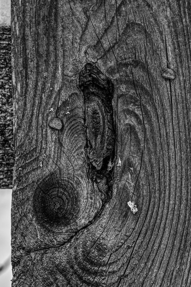 Photograph by Aleksei Degtjarjov