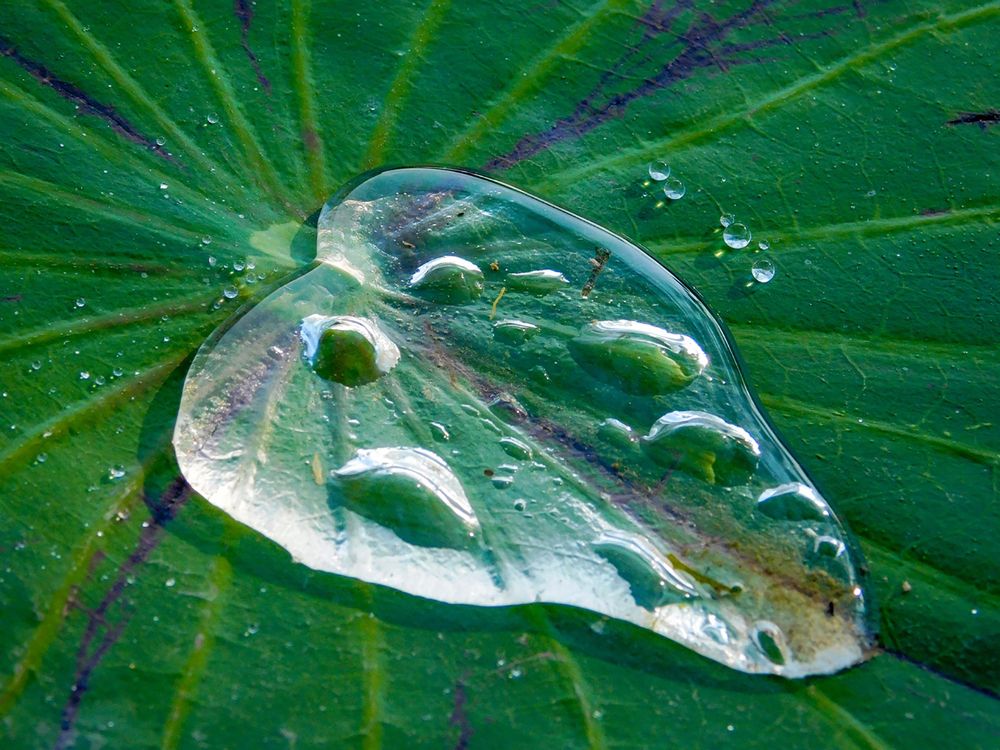 Photograph by Андрей Семенченко