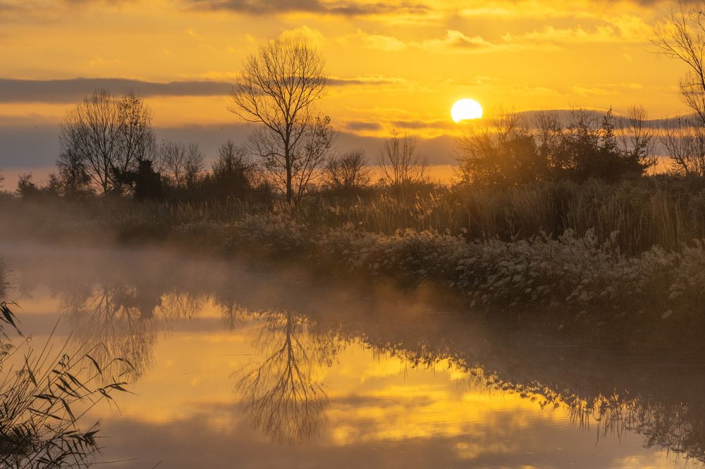 Drawing created by nature.