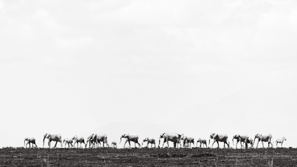 Photograph by Ewa Jermakowicz