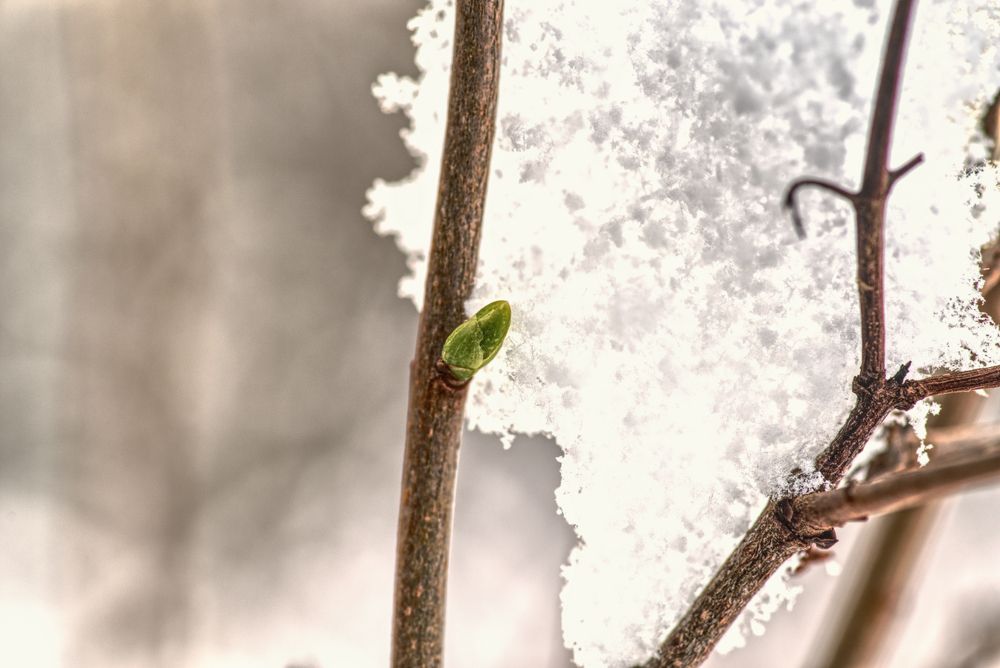Photograph by Aleksei Degtjarjov