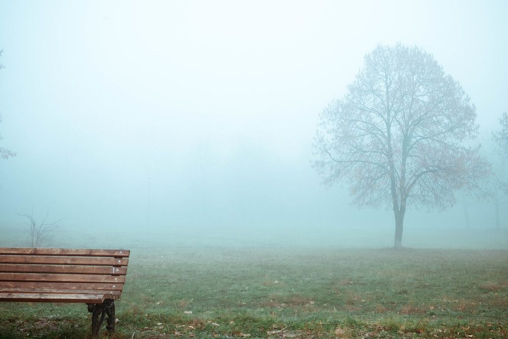 Photograph by Елена Черных