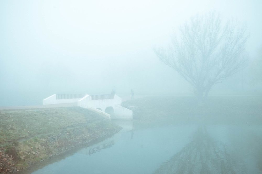 Photograph by Елена Черных