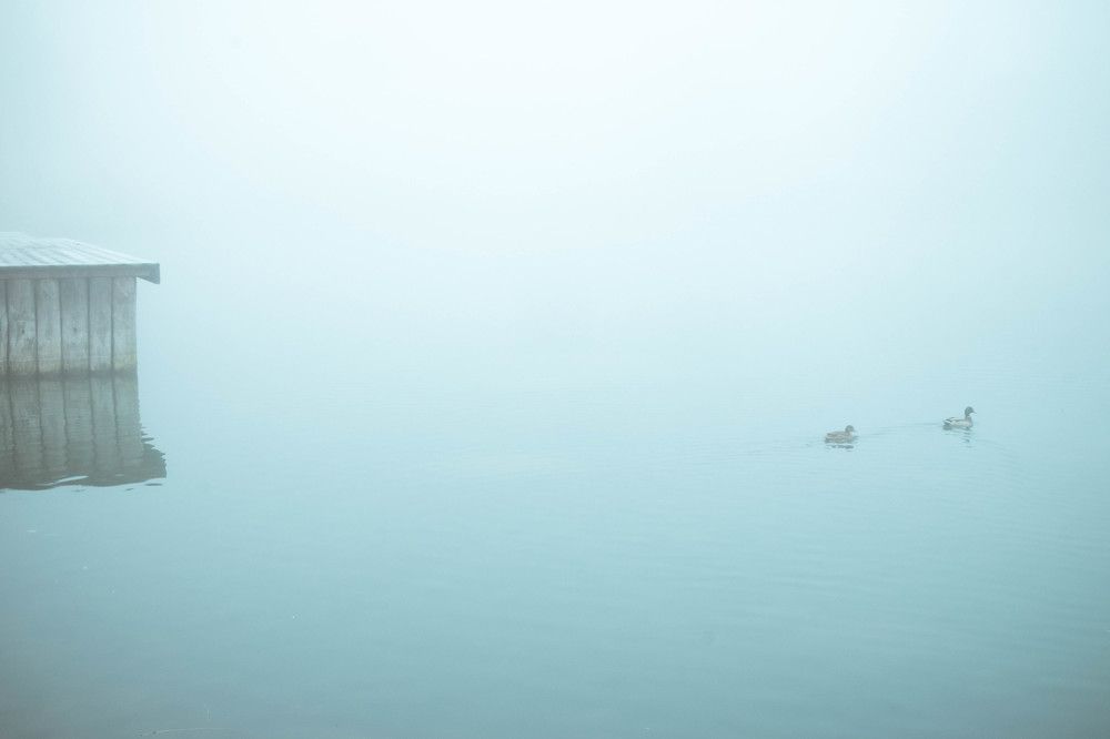 Photograph by Елена Черных