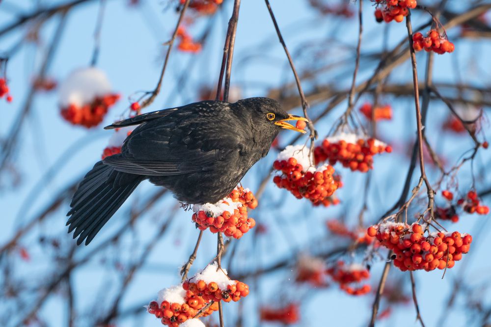 Photograph by Viktor Makarov