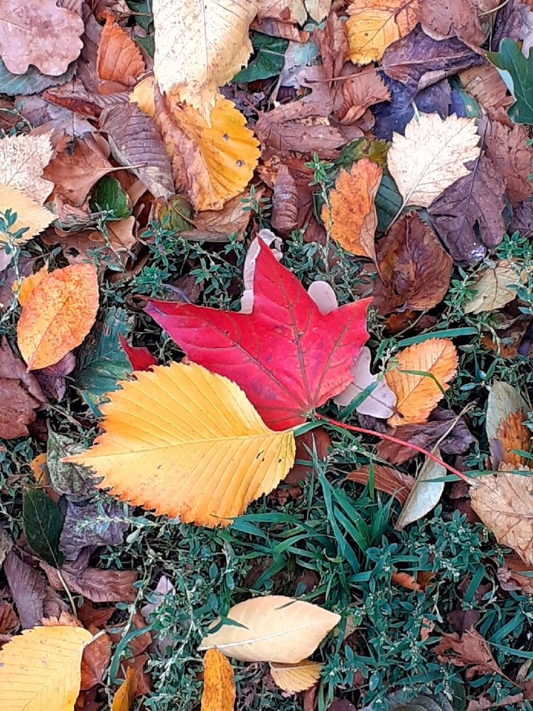 Photograph by Евгения Ульянова