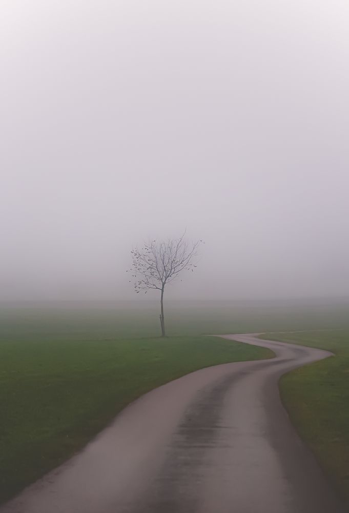 Photograph by Piotr Kaczkowski