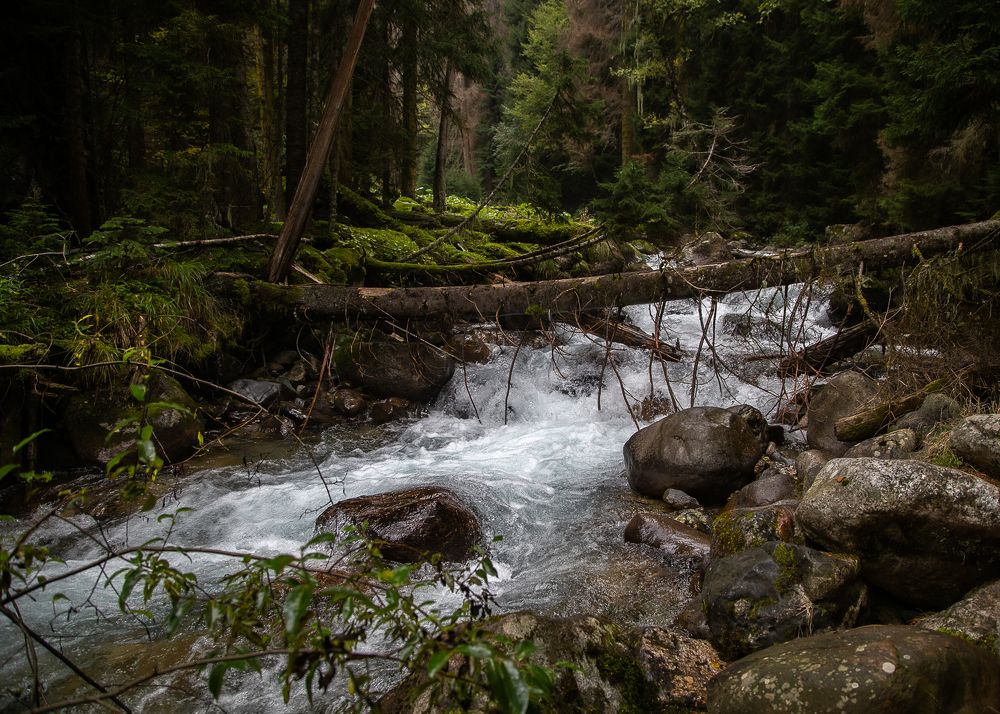 Photograph by Галина Полищук