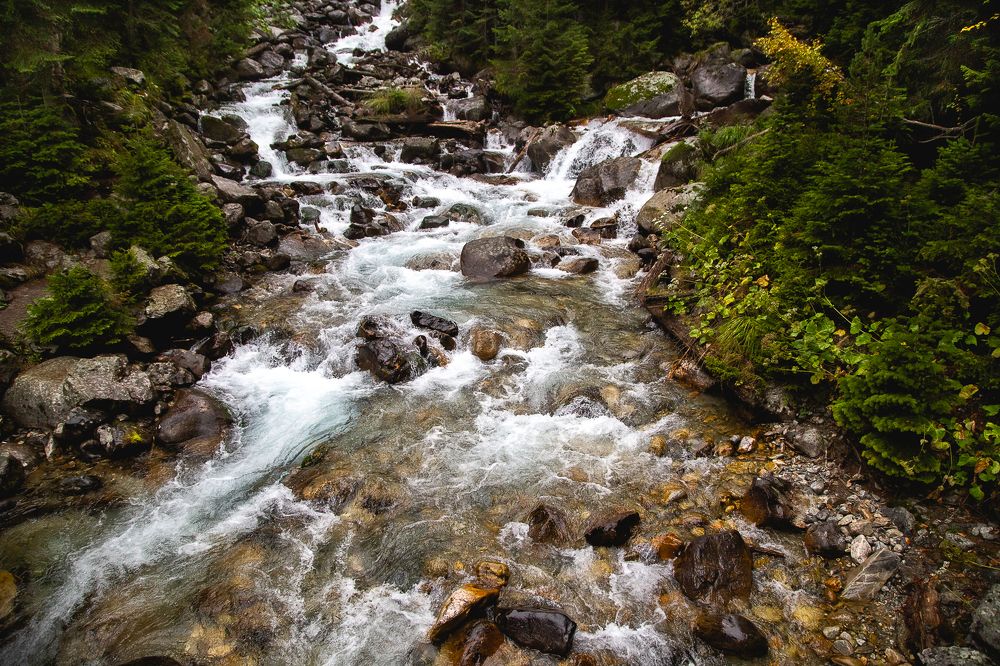 Photograph by Галина Полищук