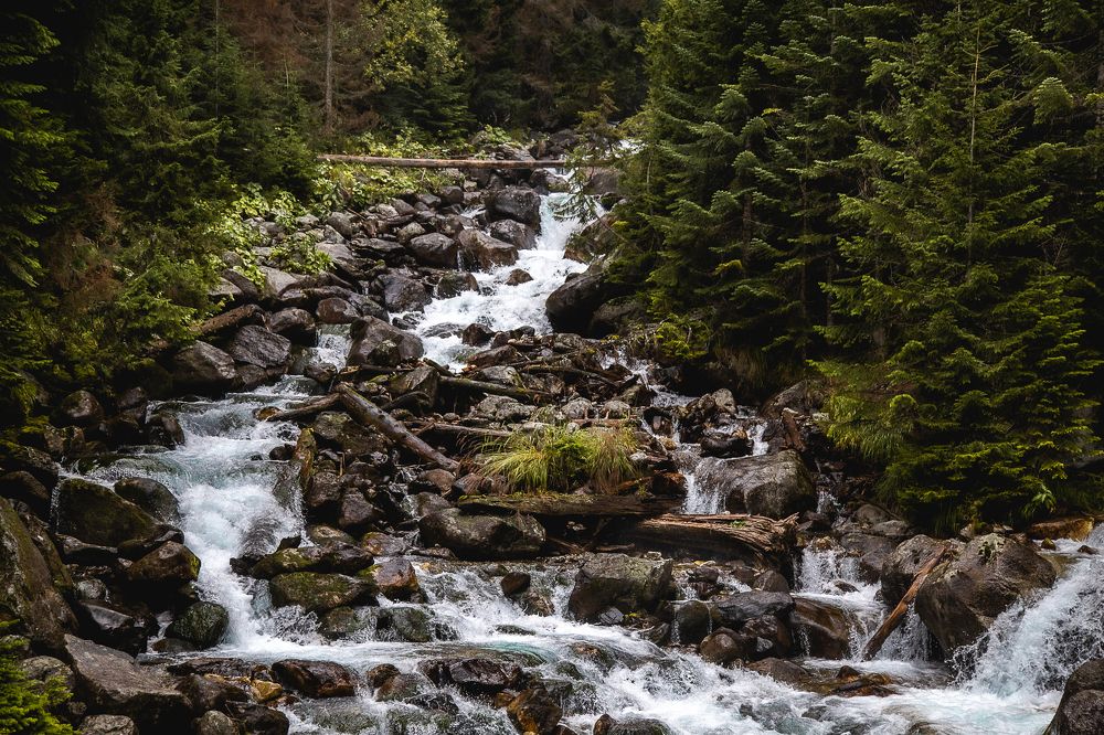 Photograph by Галина Полищук